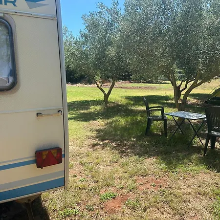 Apartament Daisy Kamper Banjole