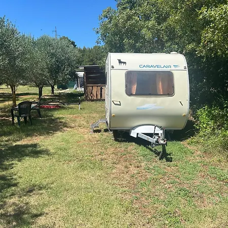 Apartament Daisy Kamper Banjole