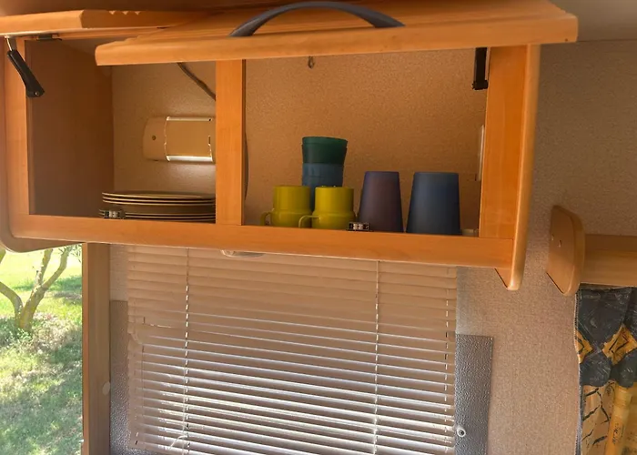 Daisy Kamper 반졸레