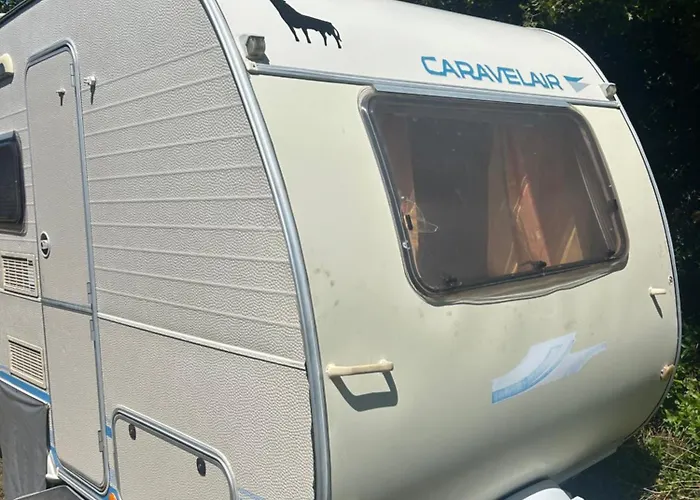 Daisy Kamper 아파트