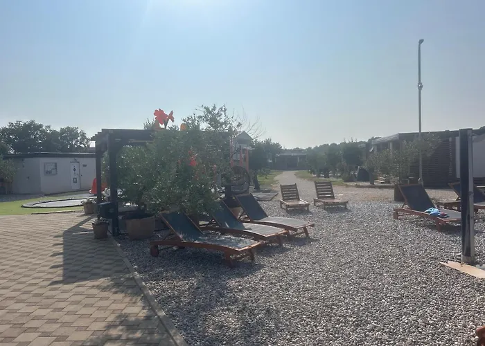 Daisy Kamper 반졸레