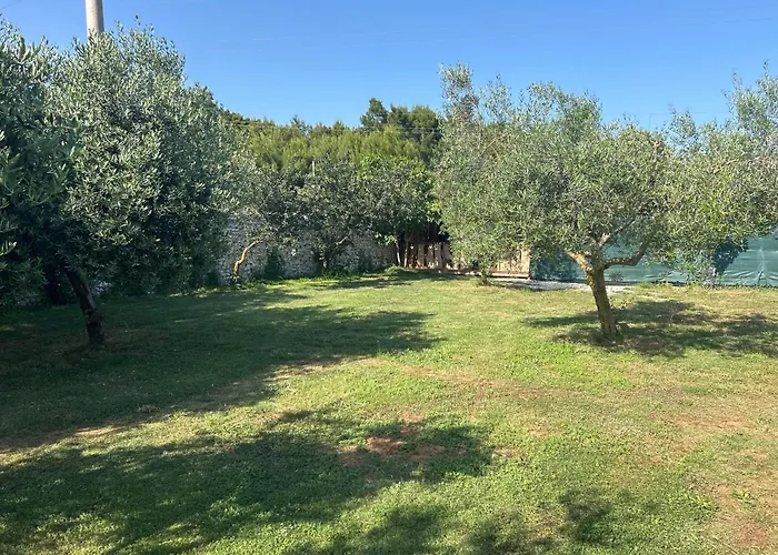 Daisy Kamper * 반졸레