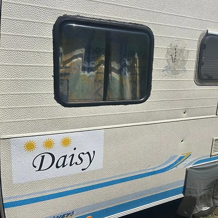 Daisy Kamper *